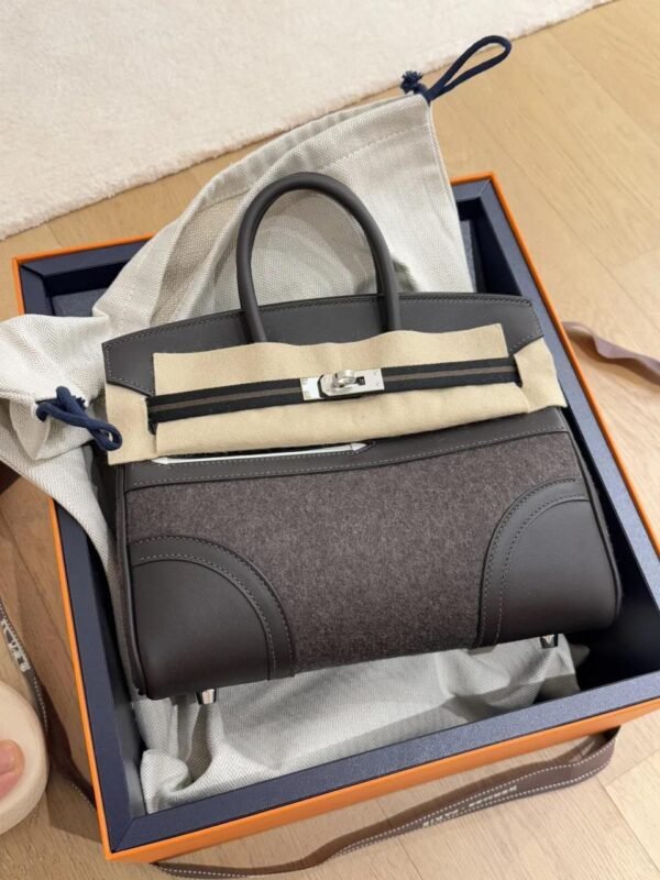 Hermes Birkin25 Goteam - Image 2