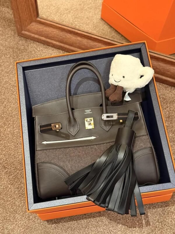 Hermes Birkin25 Goteam - Image 3
