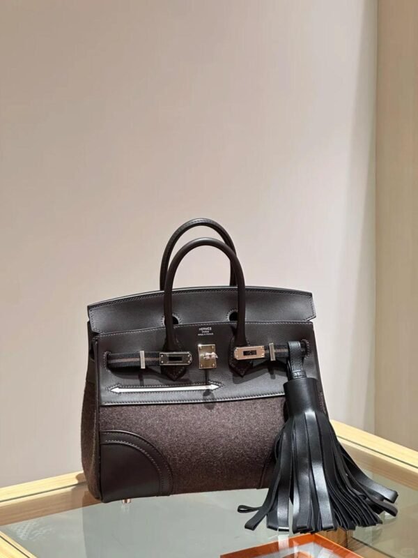 Hermes Birkin25 Goteam - Image 4